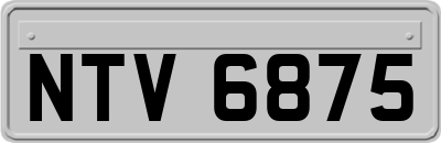 NTV6875