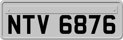 NTV6876
