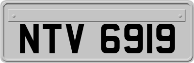 NTV6919
