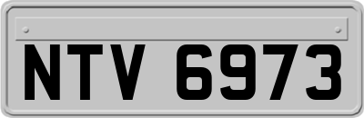 NTV6973