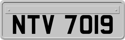 NTV7019