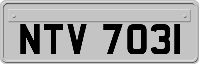 NTV7031