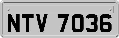 NTV7036