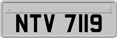 NTV7119