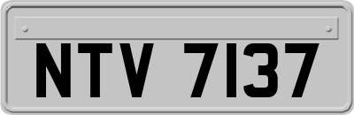 NTV7137