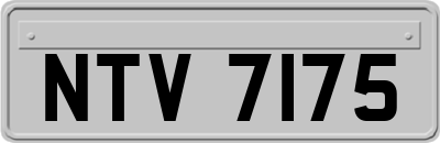 NTV7175