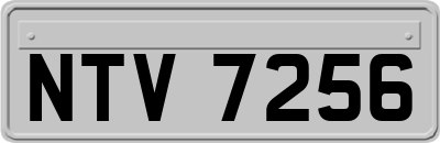 NTV7256