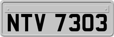 NTV7303