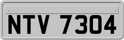 NTV7304