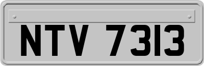 NTV7313