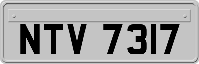 NTV7317