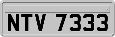 NTV7333