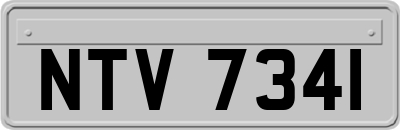 NTV7341