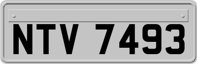 NTV7493