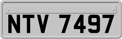 NTV7497