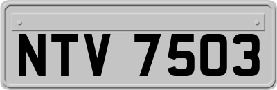 NTV7503