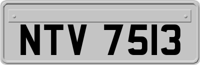 NTV7513