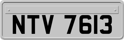NTV7613