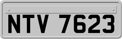 NTV7623