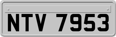 NTV7953