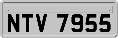 NTV7955