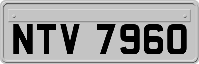 NTV7960