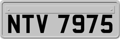 NTV7975