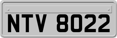 NTV8022