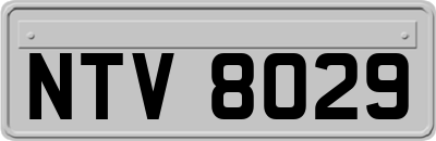 NTV8029