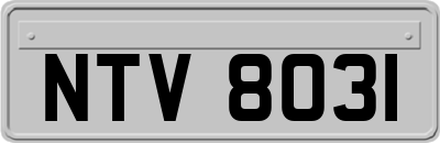 NTV8031