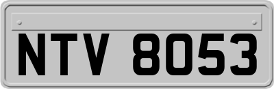 NTV8053