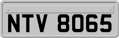 NTV8065