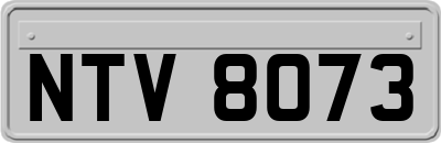 NTV8073