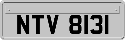 NTV8131