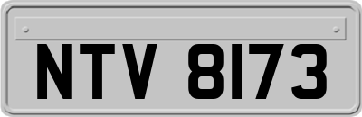 NTV8173
