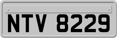 NTV8229