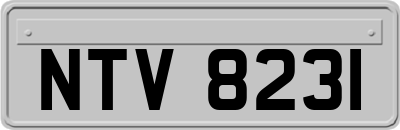 NTV8231