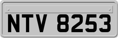 NTV8253