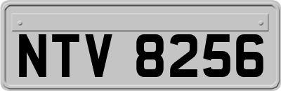 NTV8256