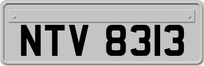 NTV8313
