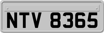 NTV8365