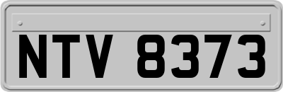 NTV8373