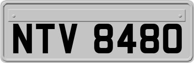 NTV8480