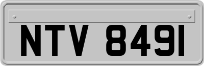 NTV8491