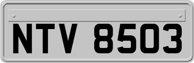 NTV8503