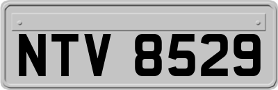 NTV8529