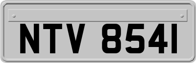 NTV8541