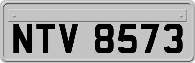 NTV8573