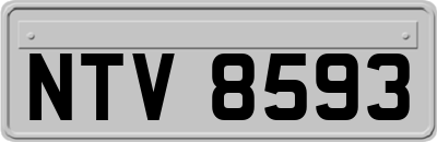 NTV8593
