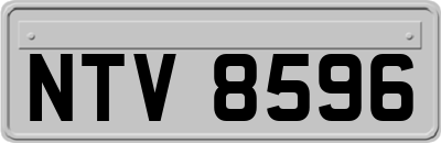 NTV8596